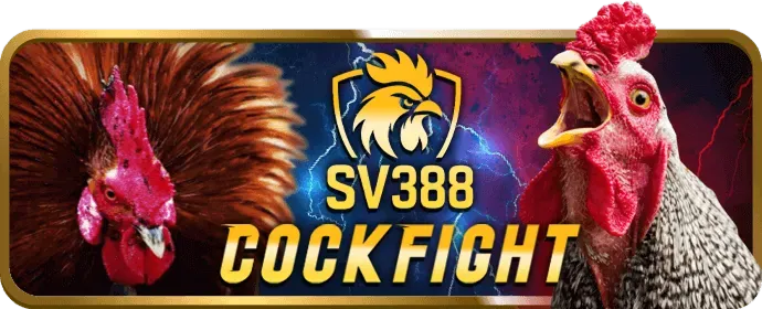 Kinh nghiệm chơi Bắn cá Đá gà 5699win